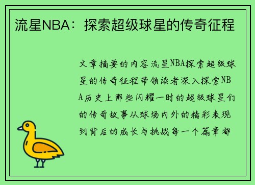 流星NBA：探索超级球星的传奇征程